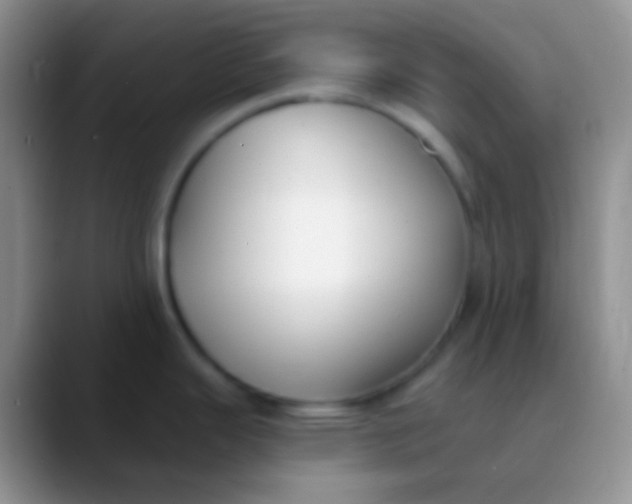 X0000089881343200707191949