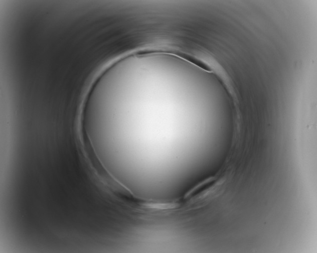 X0000089881344200707191949