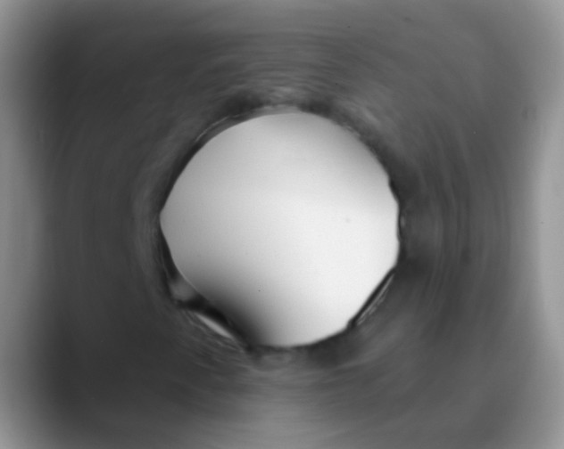 X0000089881345200707191949