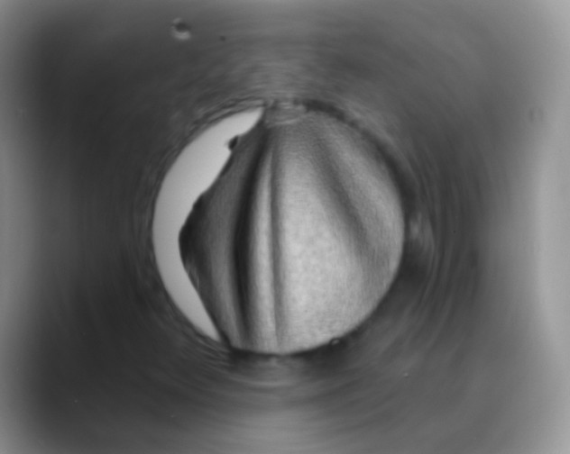 X0000089881348200707191949