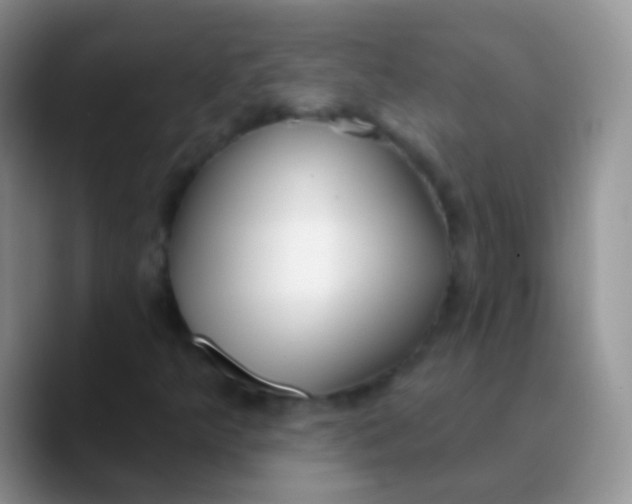 X0000089881349200707191949