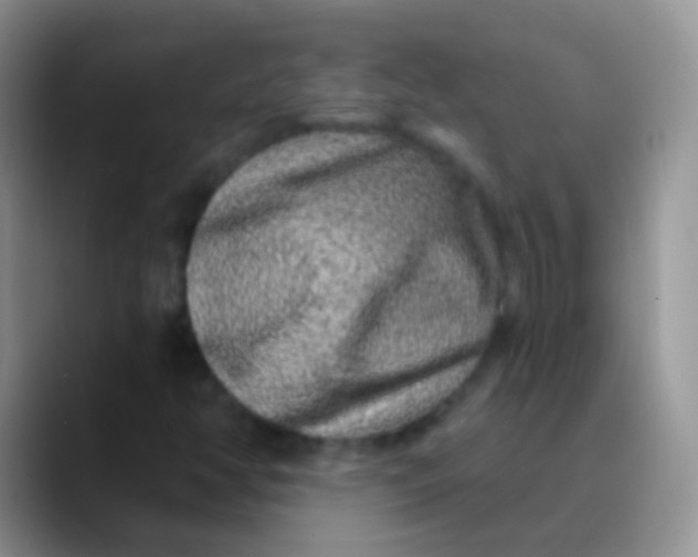 X0000089881350200707191949