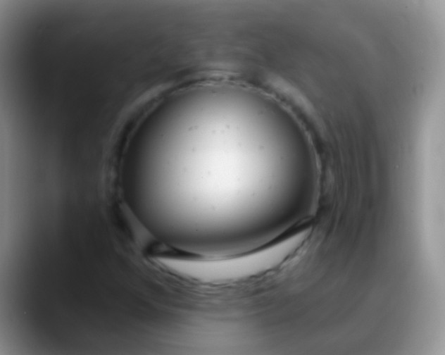 X0000089881352200707191949