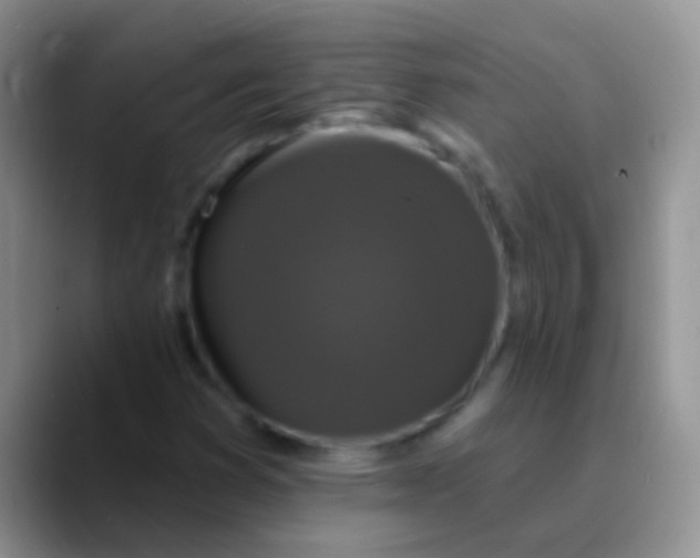 X0000089881353200707191949