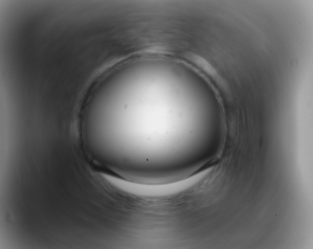 X0000089881356200707191949