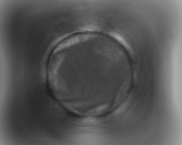 X0000089881358200707191949