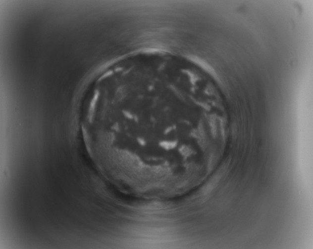 X0000089881359200707191949