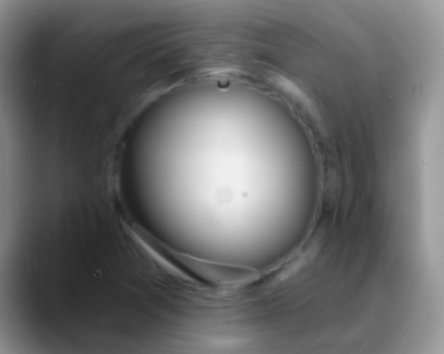 X0000089881361200707191949