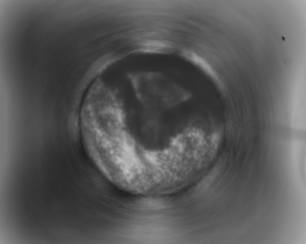 X0000089881362200707191949