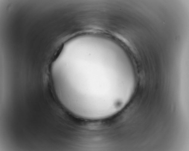 X0000089881363200707191949