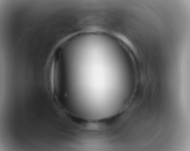 X0000089881364200707191949