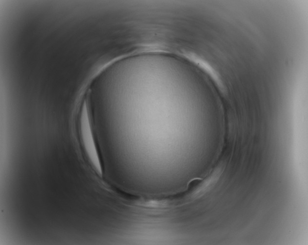 X0000089881365200707191949