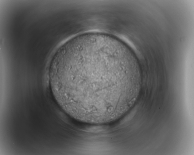 X0000089881367200707191949