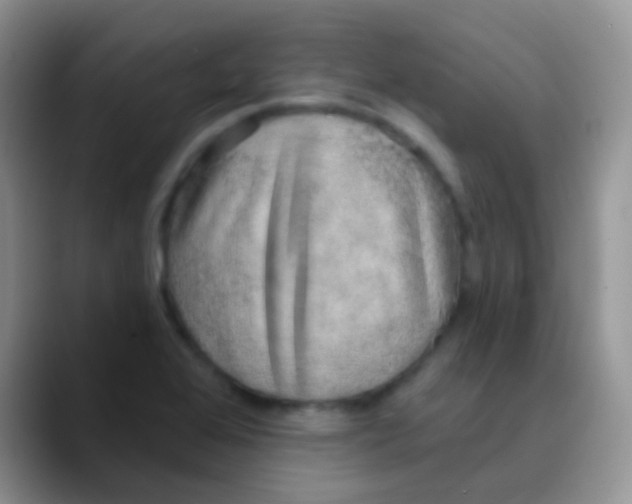 X0000089881368200707191949