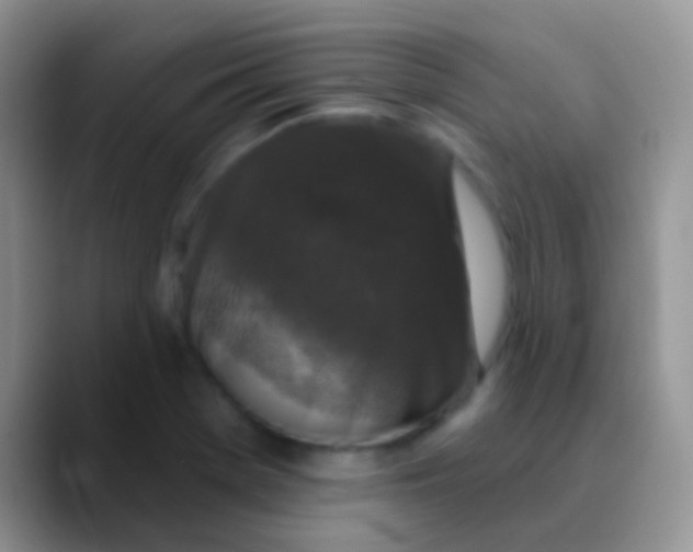 X0000089881369200707191949