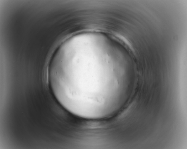 X0000089881371200707191949