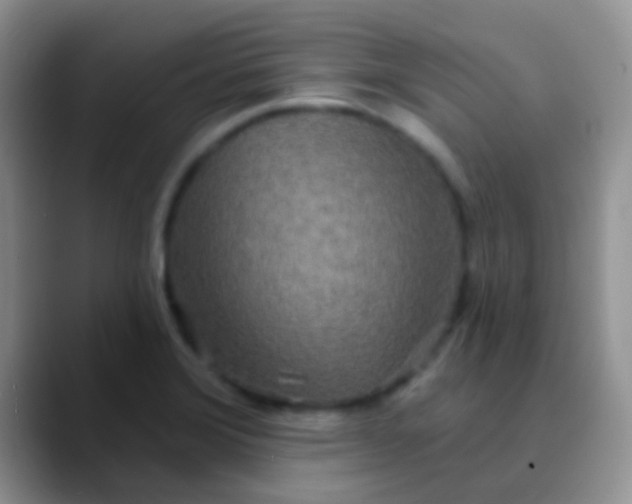 X0000089881372200707191949