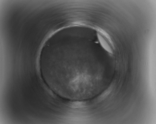 X0000089881373200707191948