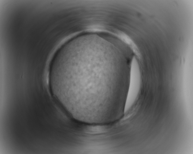 X0000089881376200707191948