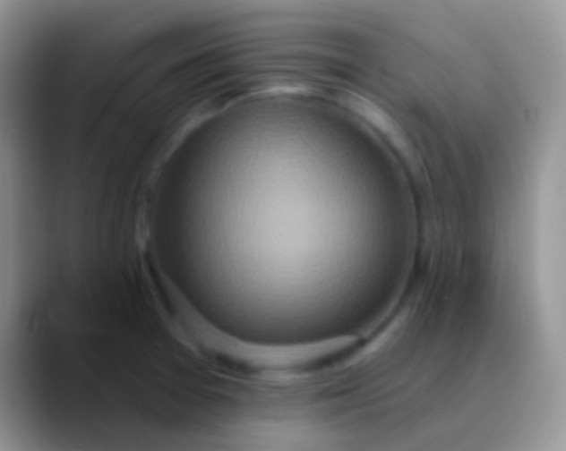 X0000089881377200707191948