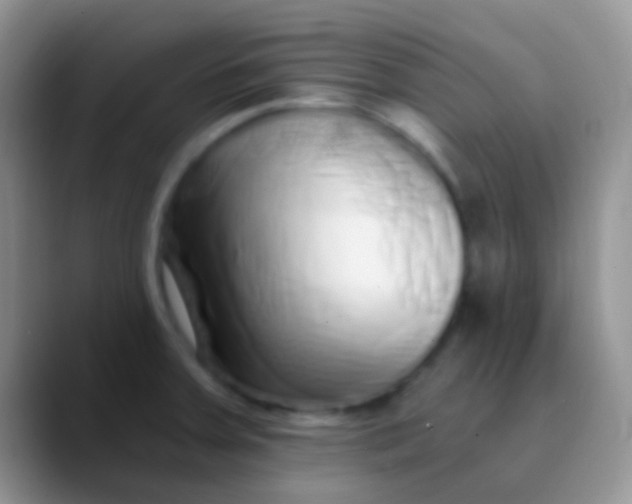 X0000089881379200707191948