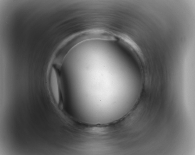 X0000089881380200707191948