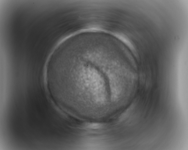 X0000089881382200707191948