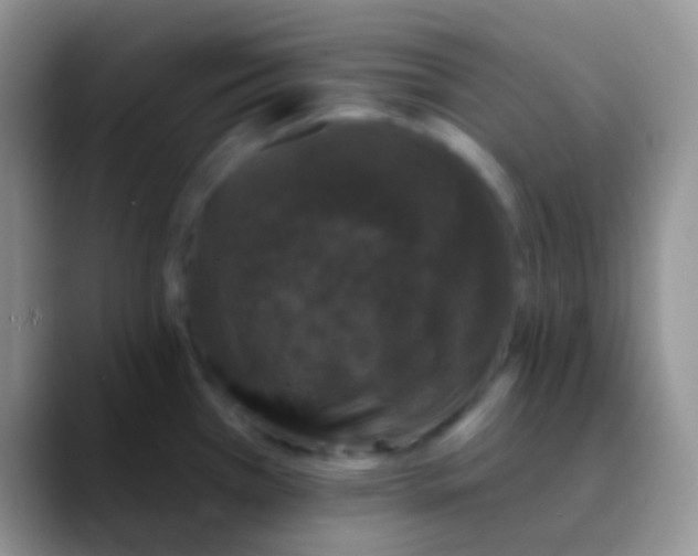 X0000089881385200707191948