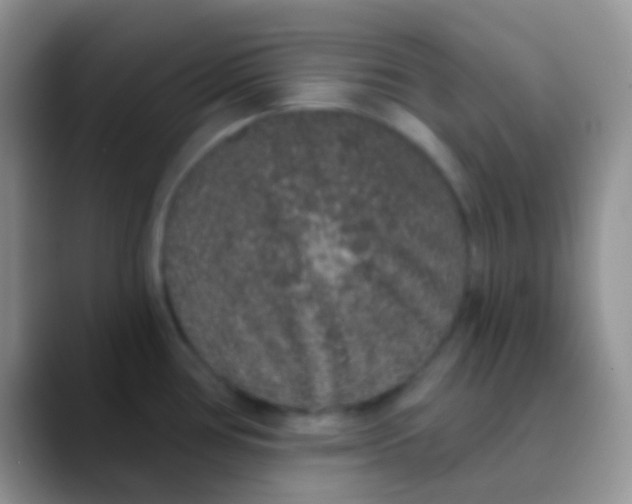 X0000089881386200707191948