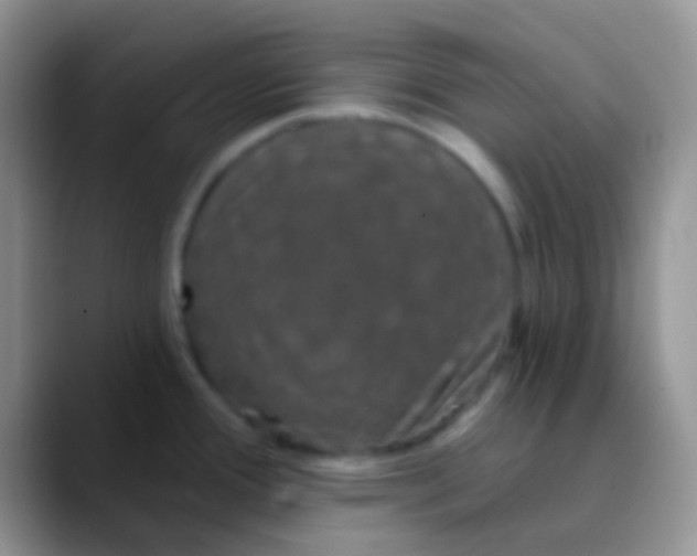 X0000089881388200707191948