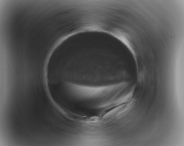 X0000089881389200707191948