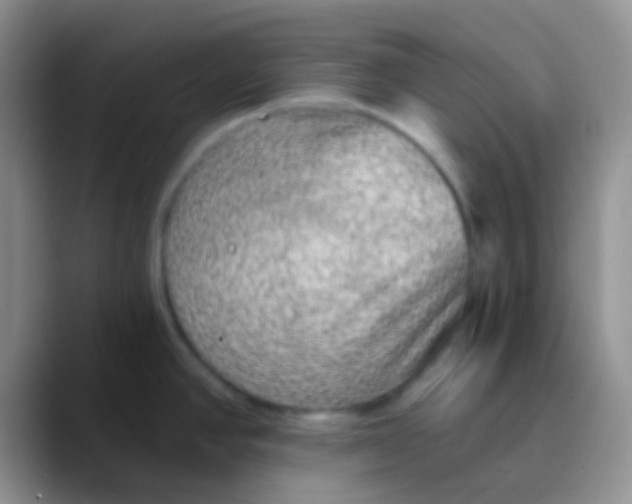 X0000089881390200707191948