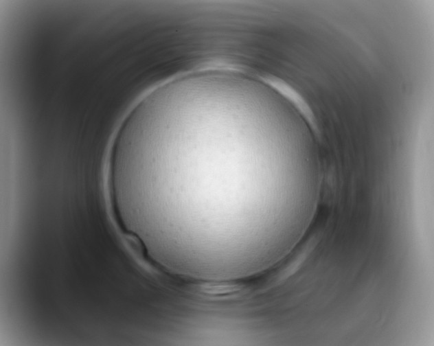 X0000089881391200707191948