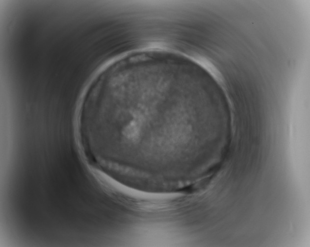 X0000089881392200707191948