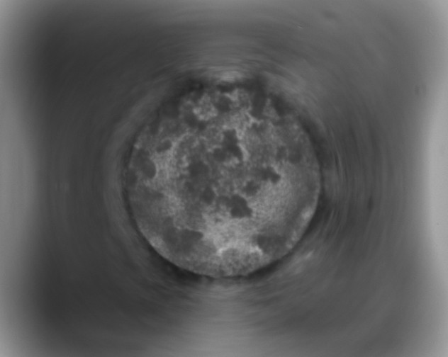 X0000089881393200707191948