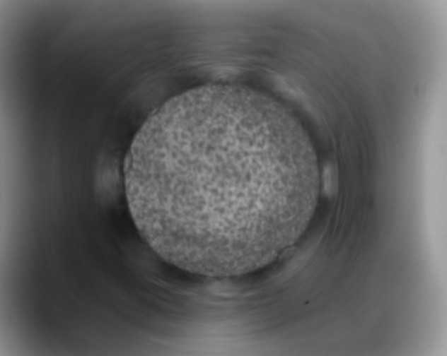 X0000089881395200707191948