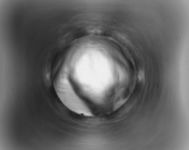 X0000089881396200707191948