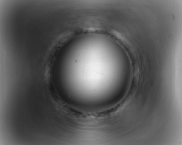 X0000089881398200707191948