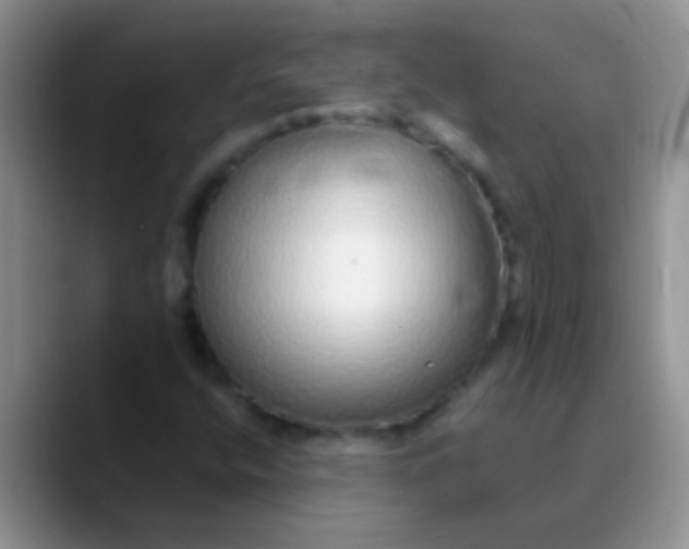 X0000089881400200707191948