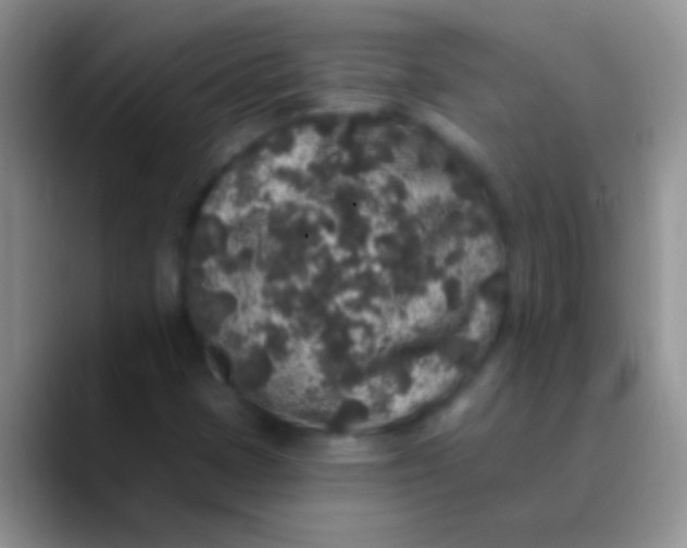 X0000089881401200707191948