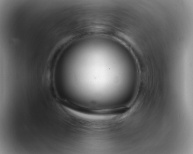 X0000089881402200707191948