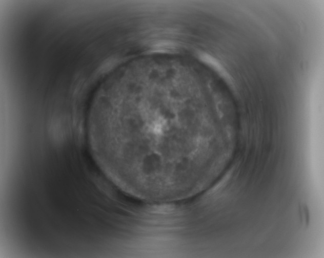 X0000089881403200707191948