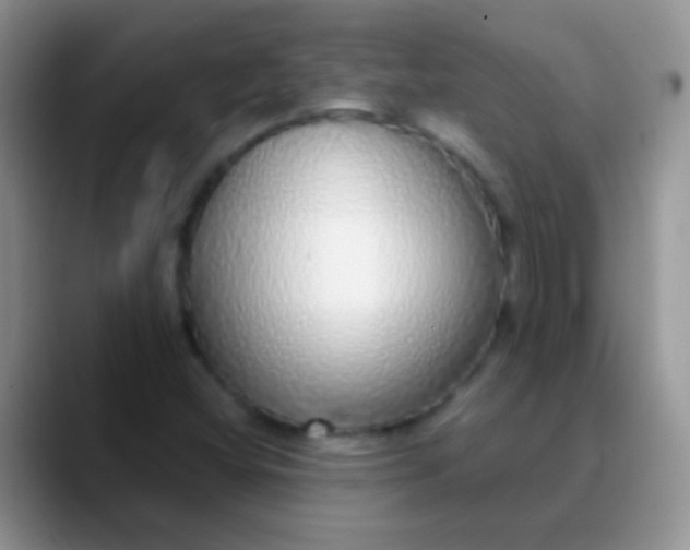 X0000089881404200707191948