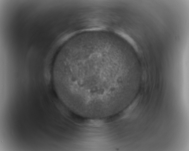 X0000089881407200707191948