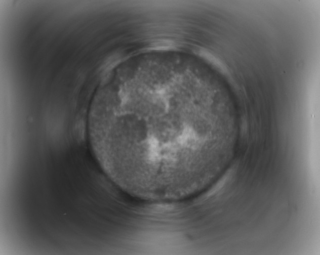 X0000089881409200707191948