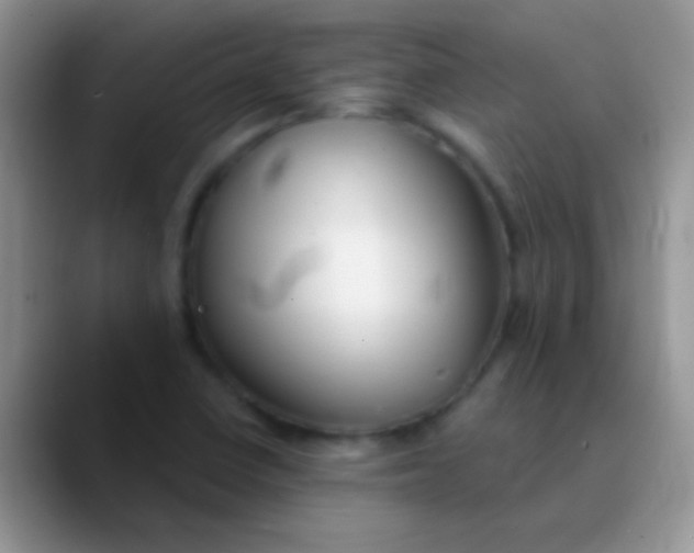 X0000089881410200707191948