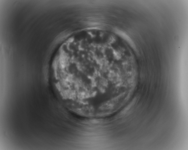 X0000089881411200707191948