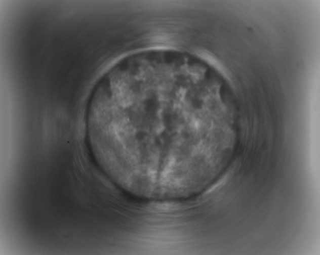 X0000089881415200707191948