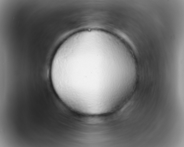 X0000089881416200707191948