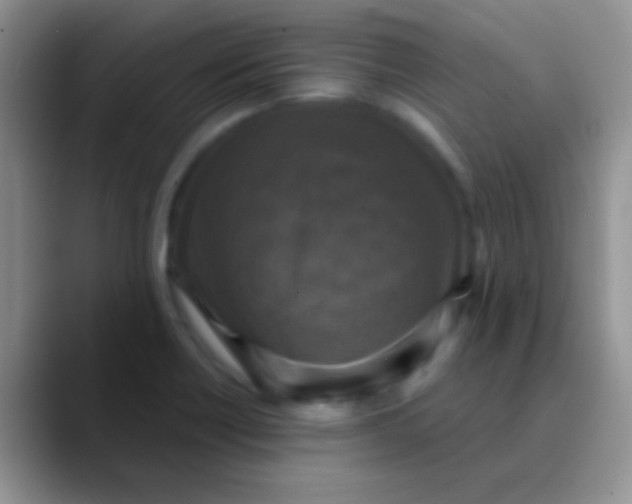 X0000089881418200707191948